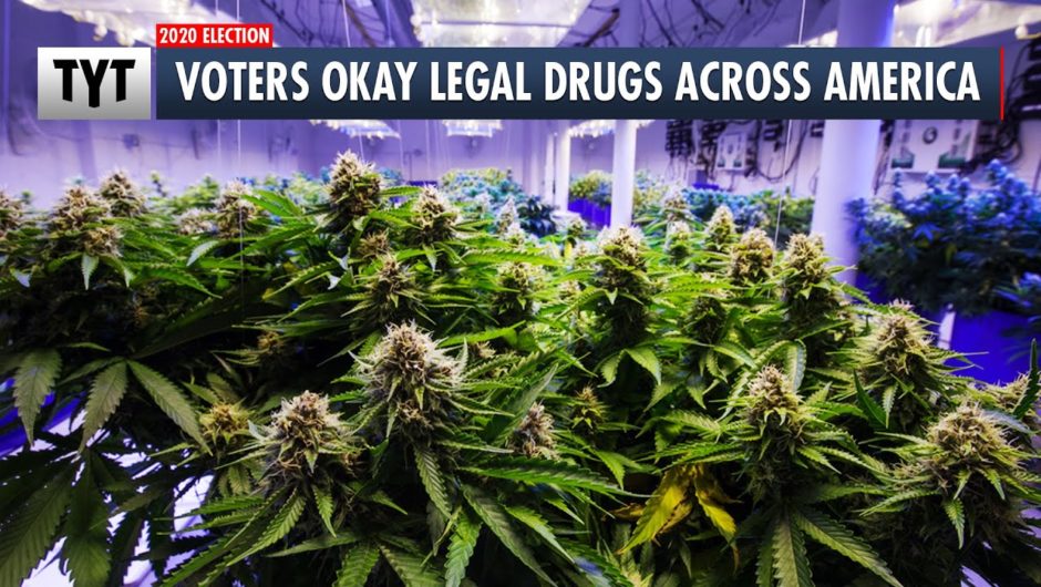 Drugs Had A GREAT Election Day!!!