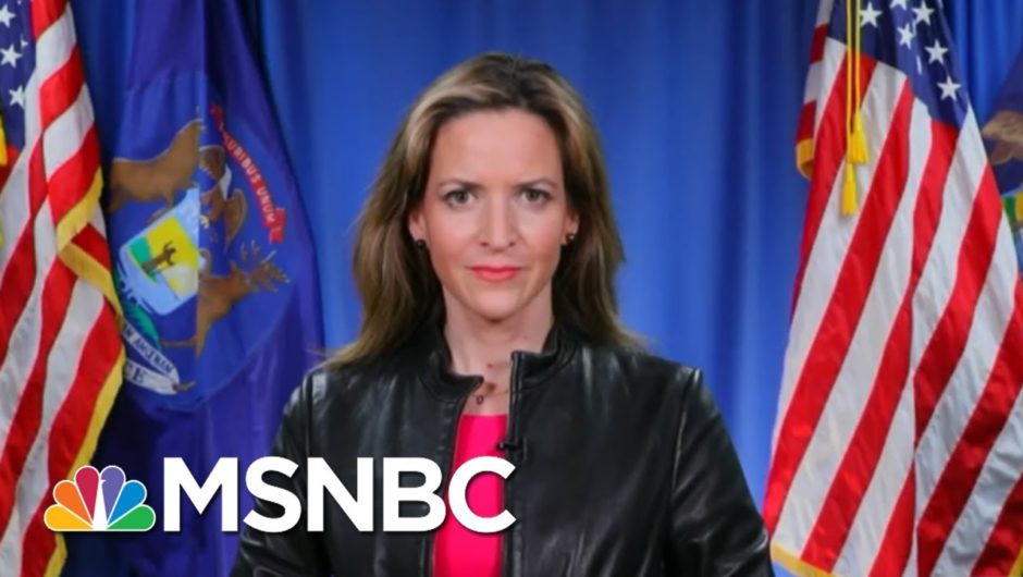 Michigan Secretary Of State Calls Trump’s Lawsuit To Halt Vote Count 'Meritless' | MSNBC