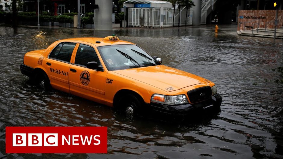 Tropical Storm Eta makes landfall in Florida – BBC News