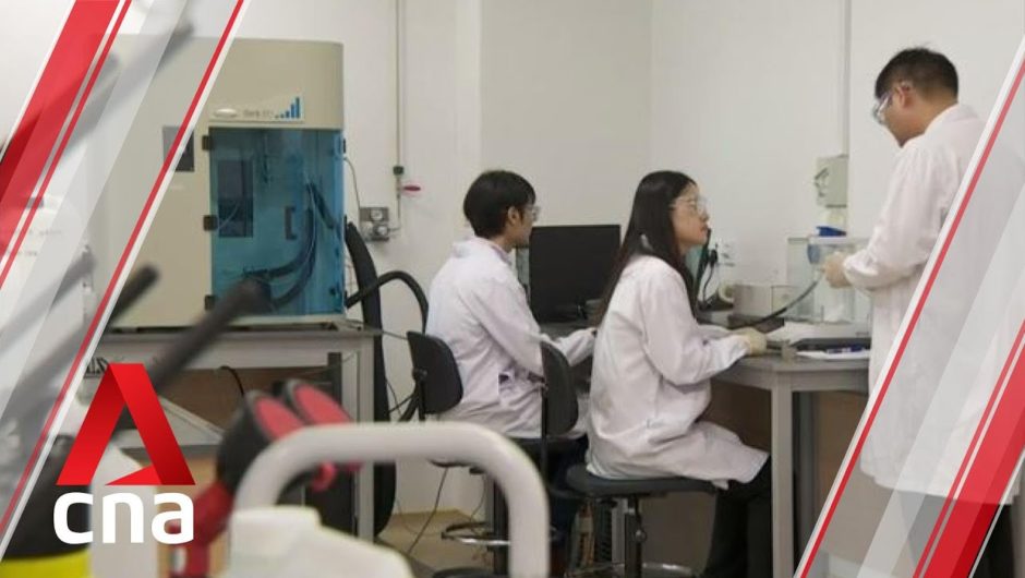 Singapore government sets aside S$49 million for low-carbon energy research