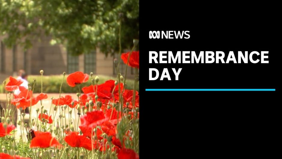 Remembrance Day 2020 commemorated at Australian War Memorial in Canberra | ABC News