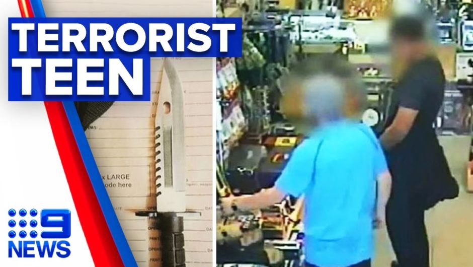 Teenager jailed for planning Sydney terror attack | 9 News Australia