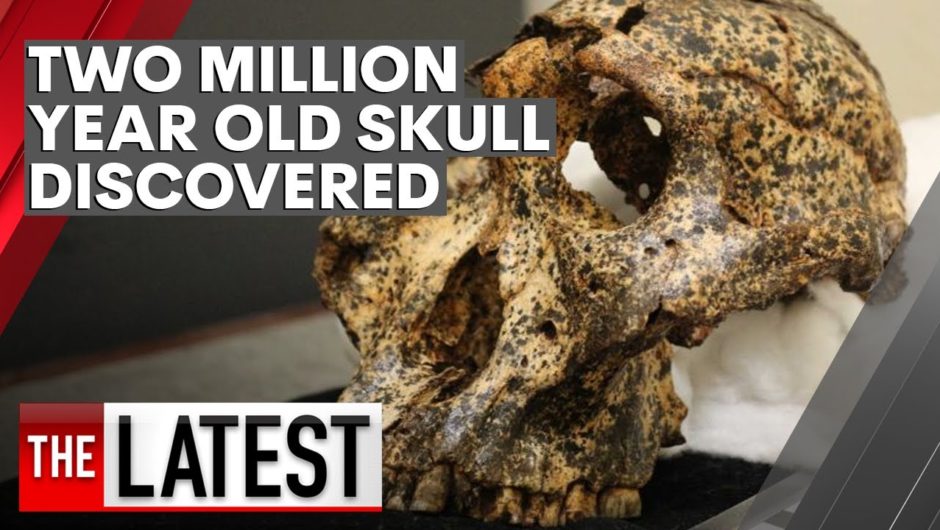 Australian-led archaeological team discover two million year old skull of human cousin | 7NEWS