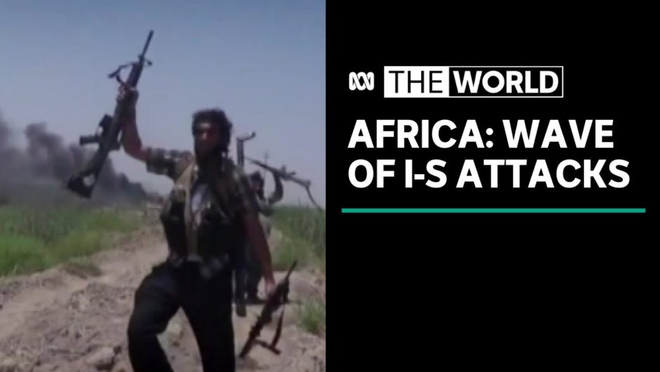 Islamic State appears to be regrouping in Africa | The World
