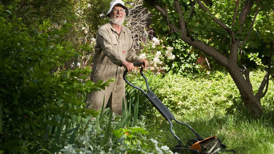 The comeback of the front lawn: Wet conditions lead to surge in mower sales | The Canberra Times