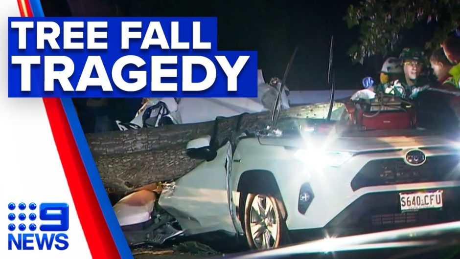 Woman killed by fallen tree branch | 9 News Australia