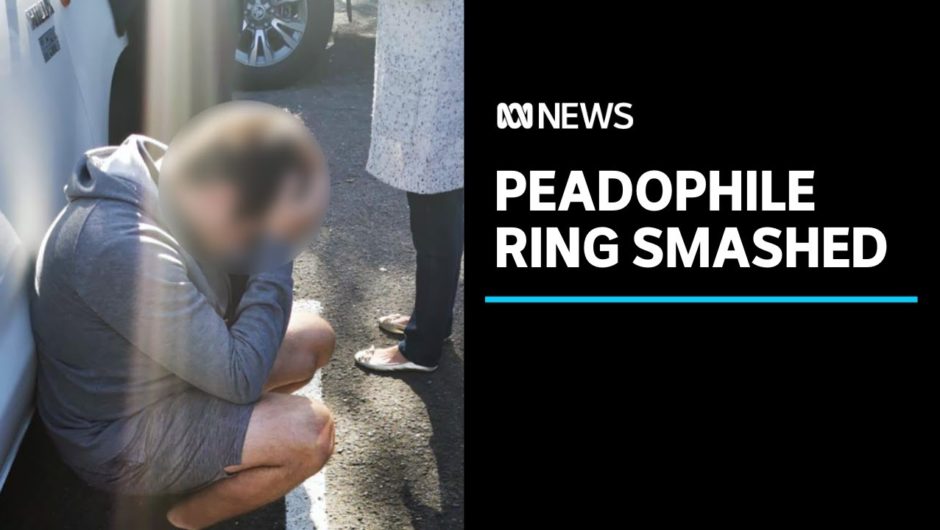 Forty-six children allegedly abused in online peadophile network, police say | ABC News