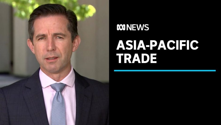 Australia to sign onto a 15 nation Asia-Pacific trade deal | ABC News