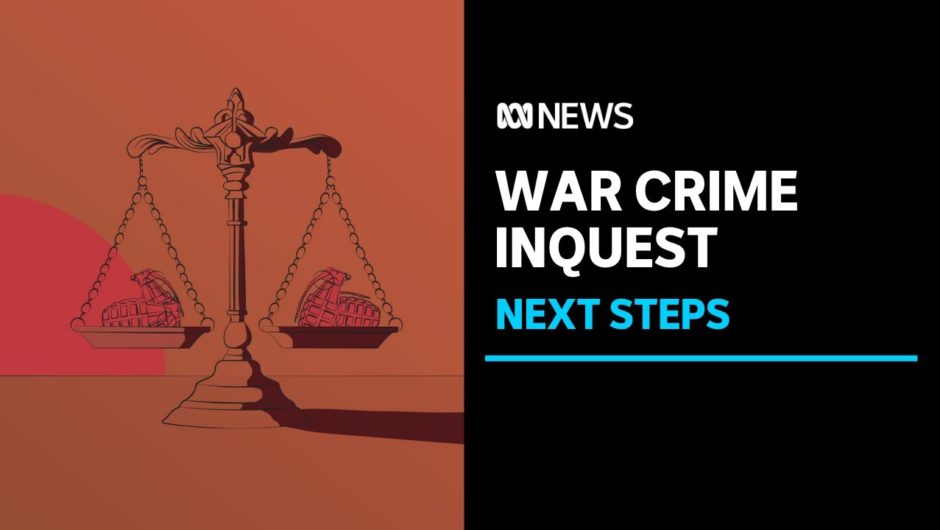What happens after the report into war crime allegations is released? | ABC News