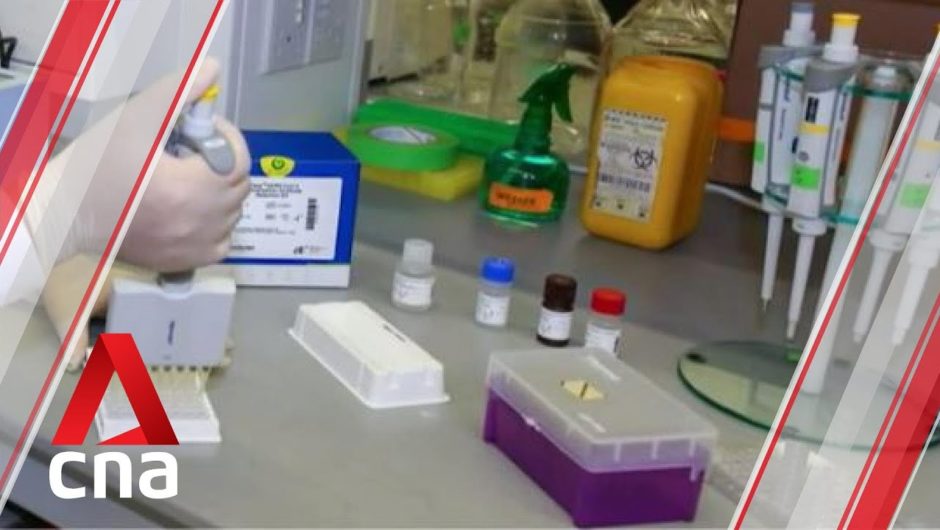 COVID-19: Rapid test kit developed in Singapore gets US FDA approval