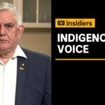 Ken Wyatt and Linda Burney on the proposal for an Indigenous voice to Parliament | ABC News