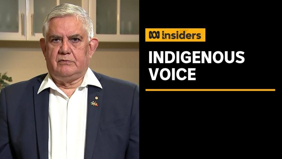 Ken Wyatt and Linda Burney on the proposal for an Indigenous voice to Parliament | ABC News