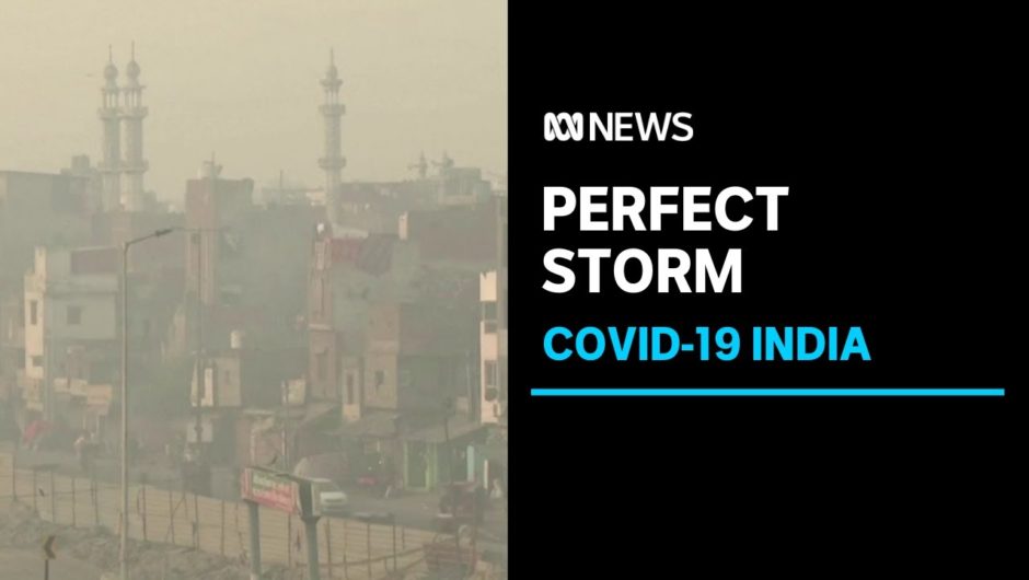 New Delhi doctors fear catastrophe as pollution exacerbates coronavirus infections surge | ABC News