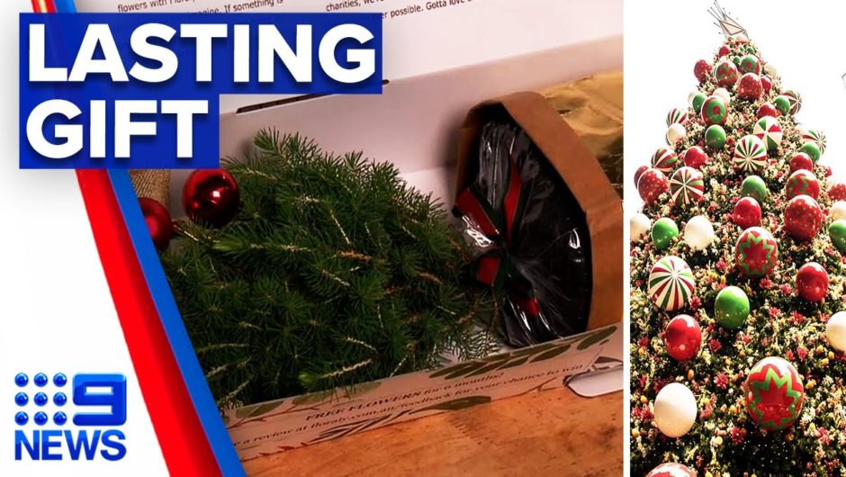 New flat-pack Christmas trees with ornaments | 9 News Australia