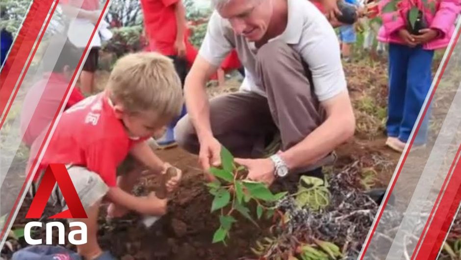 Singapore Eco Film Festival kicks off on Nov 14