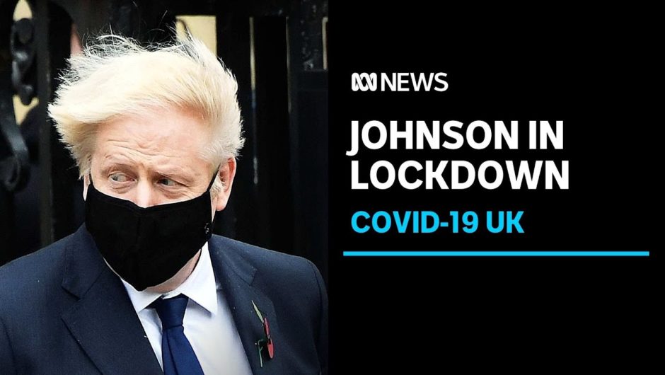 'I'm fit as a butcher's dog': Boris Johnson says he is well after COVID-19 contact | ABC News