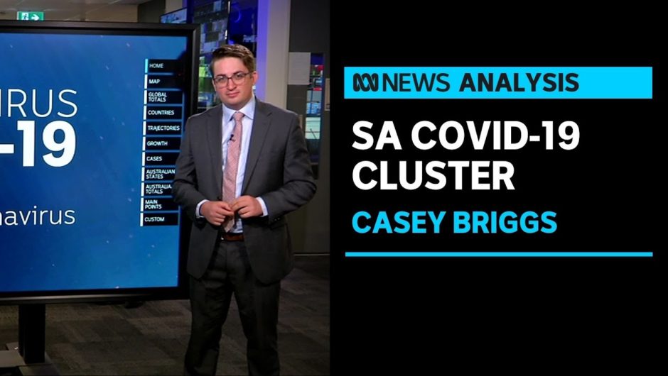 Analyst Casey Briggs returns to look at the South Australian COVID cluster | ABC News