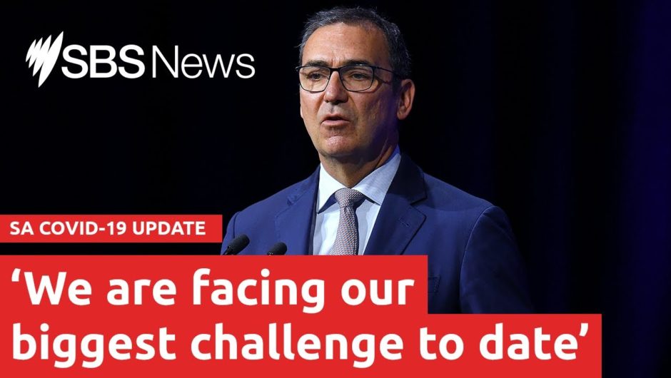 COVID-19 update: South Australian Premier Steven Marshall is live I SBS News