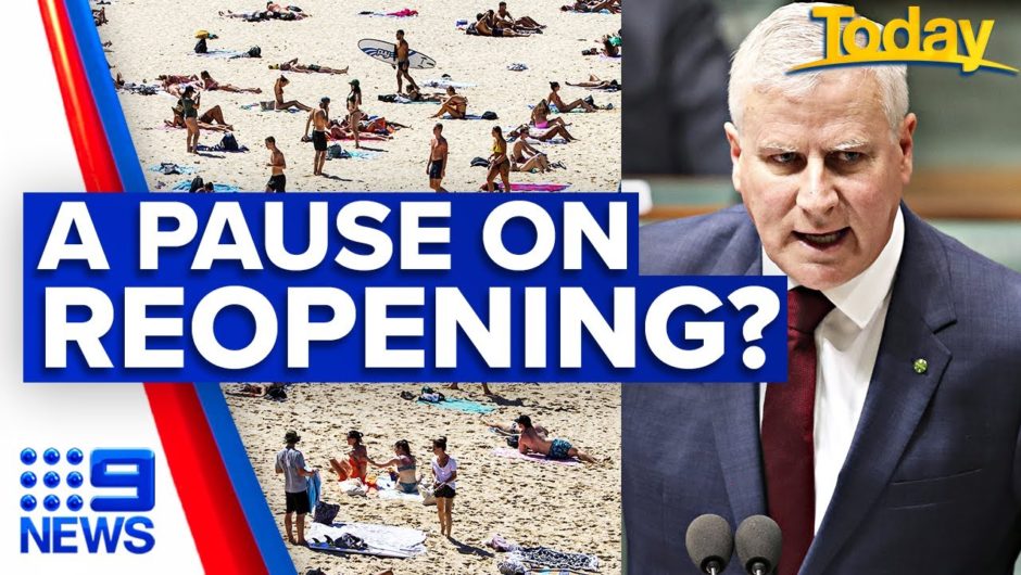 Coronavirus: Top medical body asks government to pause reopening | 9 News Australia