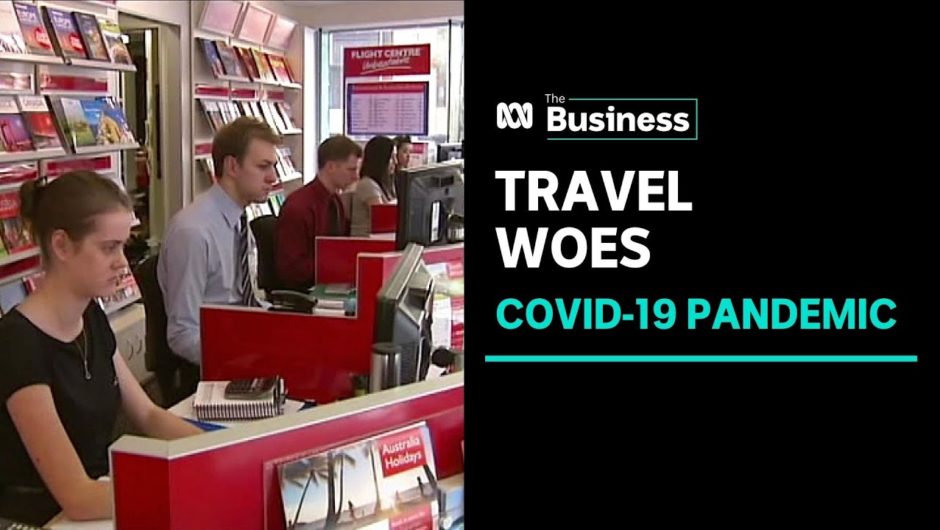 Hundreds of travel agents close down amid coronavirus pandemic, others barely survive | The Business