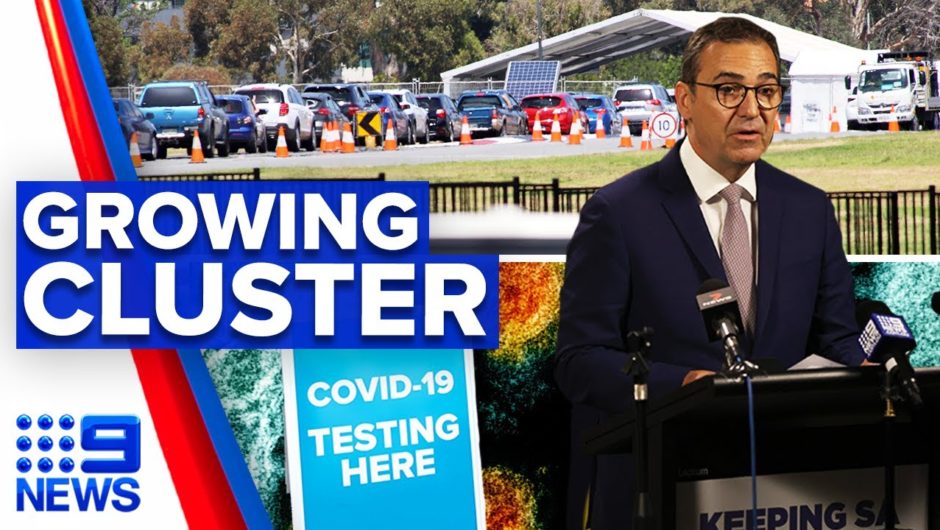 Coronavirus: South Australia fears second COVID-19 wave | 9 News Australia