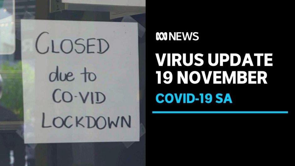 Coronavirus update 19 Nov – Tough coronavirus lockdown comes into place in SA | ABC News