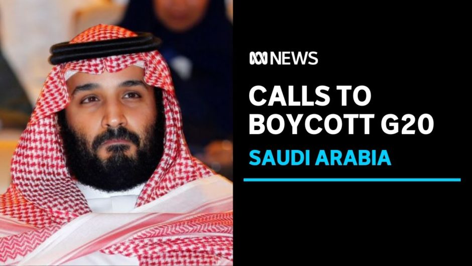 Calls to boycott Saudi Arabia's G20 summit over the jailing of female political prisoners | ABC News