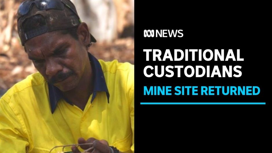 Argyle diamond mine's traditional owners turn to native seeds in bid to restore country | ABC News