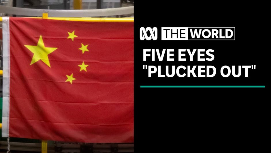 China warns the Five Eyes will be "plucked out" over Hong Kong criticism | The World