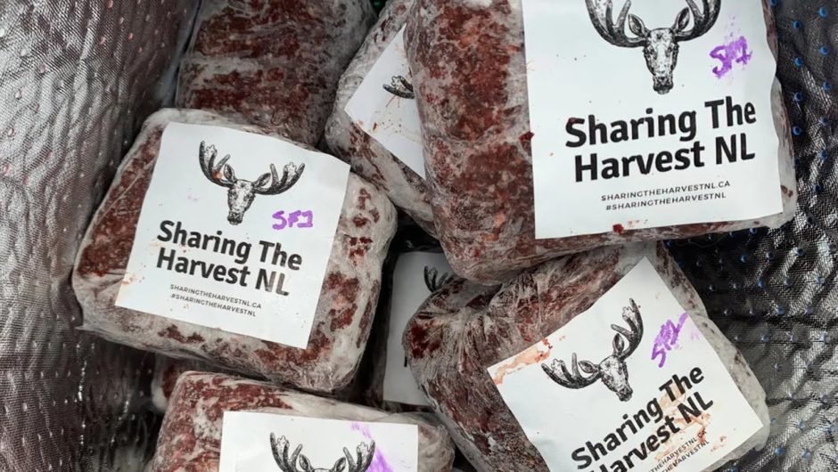 N.L. hunters can now donate meat to food banks