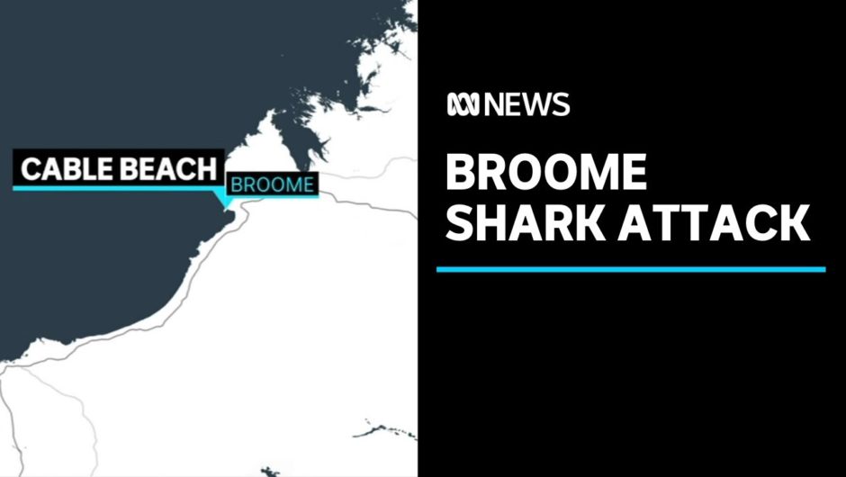 Man killed in shark attack at Broome's Cable Beach | ABC News