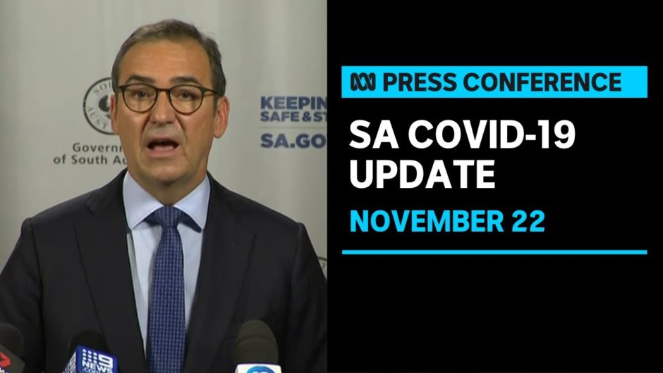 South Australia dodged coronavirus 'catastrophe', Premier Steven Marshall says | ABC News