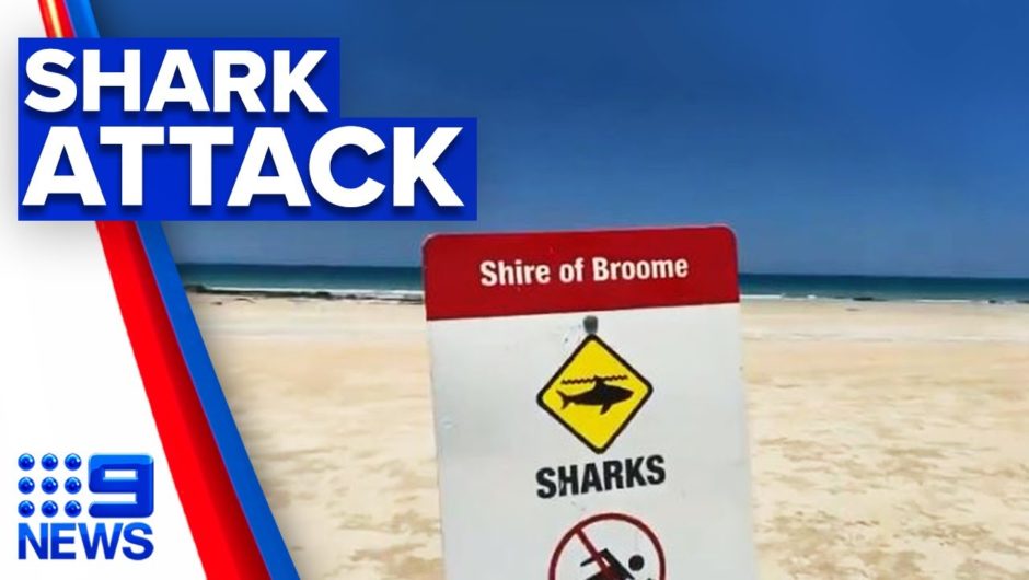 Man killed in shark attack near Broome | 9 News Australia