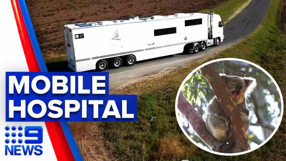 Mobile wildlife hospital hits the road | 9 News Australia