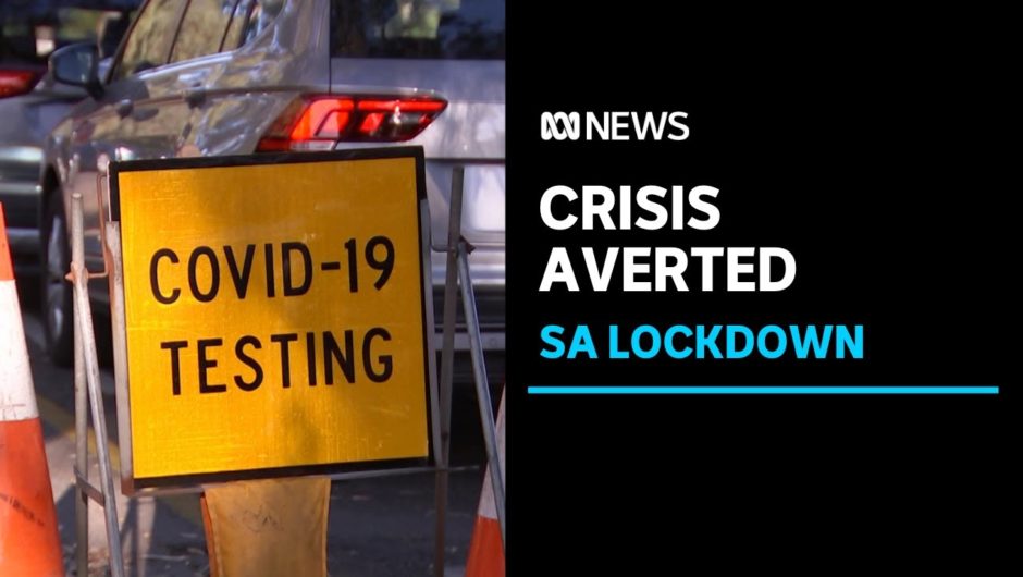 No new COVID-19 cases from Adelaide cluster as South Australians released from lockdown | ABC News
