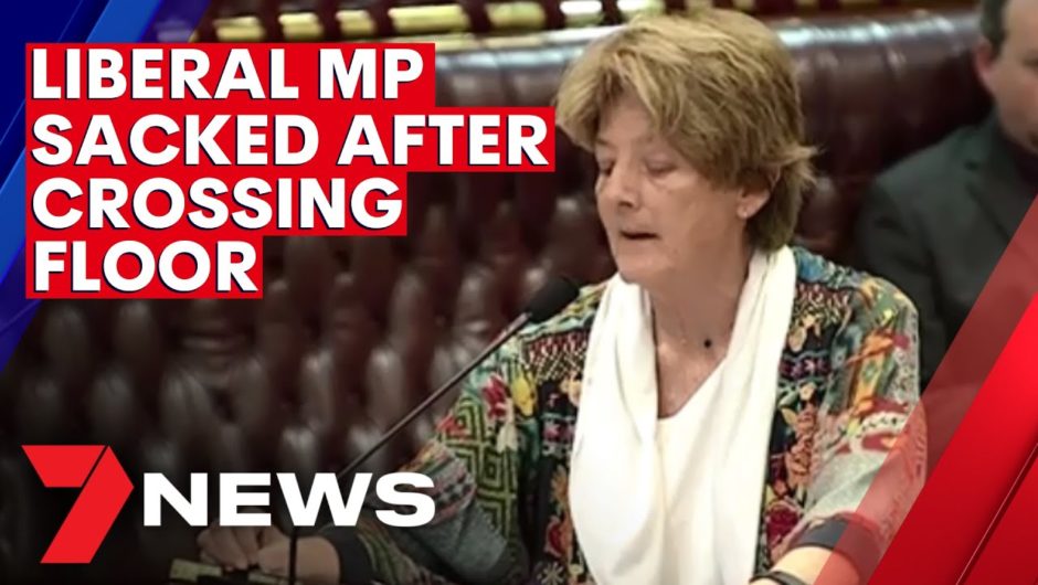 NSW Liberal MP Catherine Cusack sacked after voting down controversial koala bill | 7NEWS