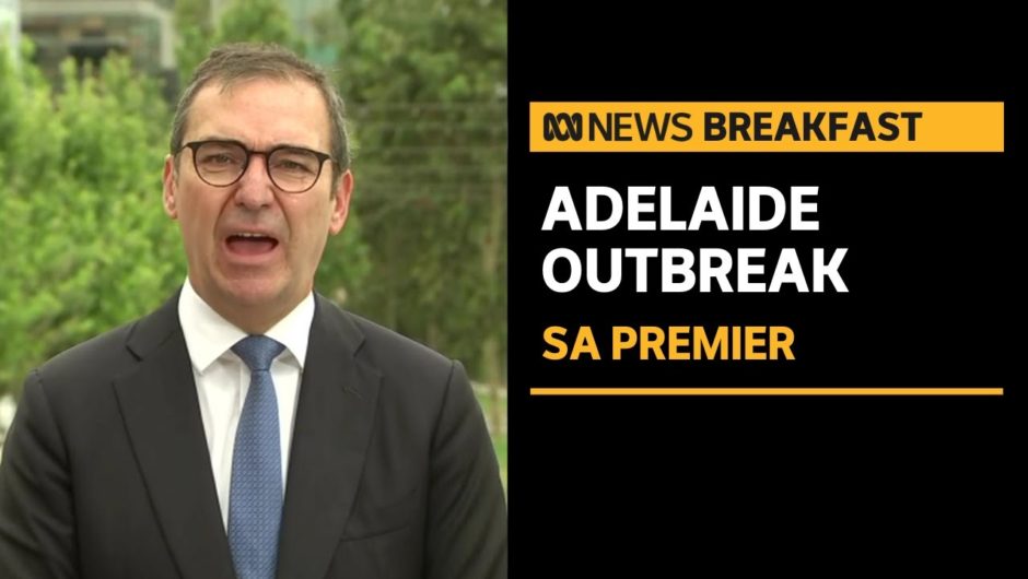 "You don't get a 2nd chance to stop a 2nd wave": SA Premier on state's COVID lockdown | ABC News