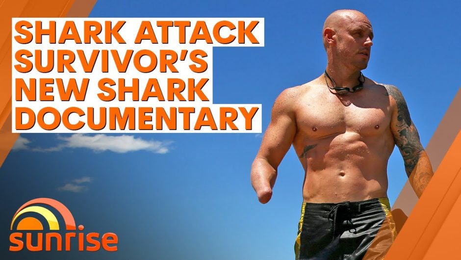 Shark attack survivor Paul De Gelder returns to the water for new shark documentary | 7NEWS