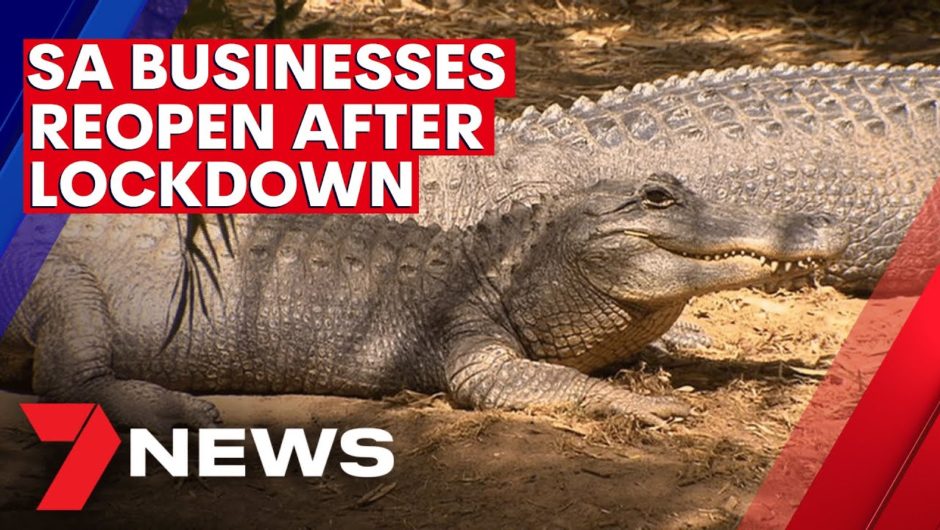 Adelaide Zoo among thousands of South Australian businesses open again after COVID lockdown | 7NEWS
