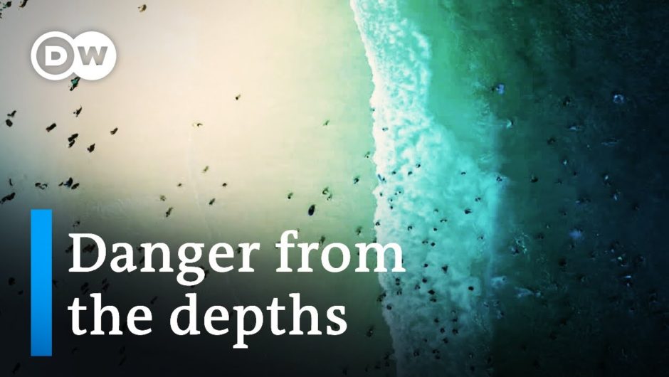 Tsunamis – danger from the depths | DW Documentary