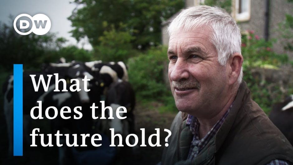 Northern Ireland’s Brexit balancing act | DW Documentary