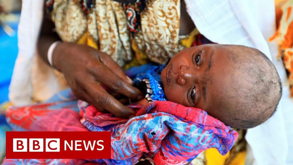 Ethiopia human rights Commission: At least 600 killed in Tigray massacre – BBC News