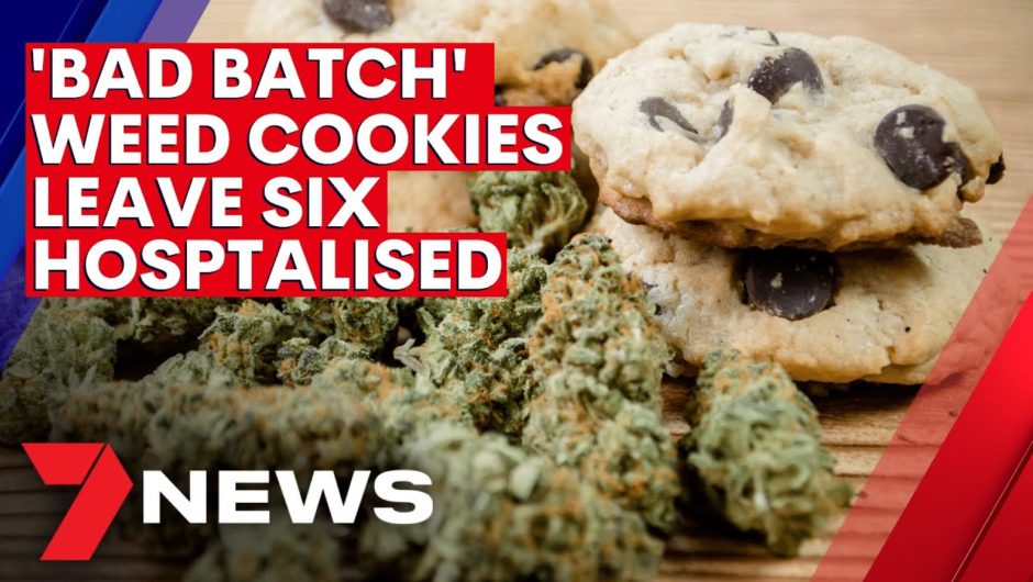 COVID cautions issued to Adelaide women after bad batch of cannabis cookies | 7NEWS