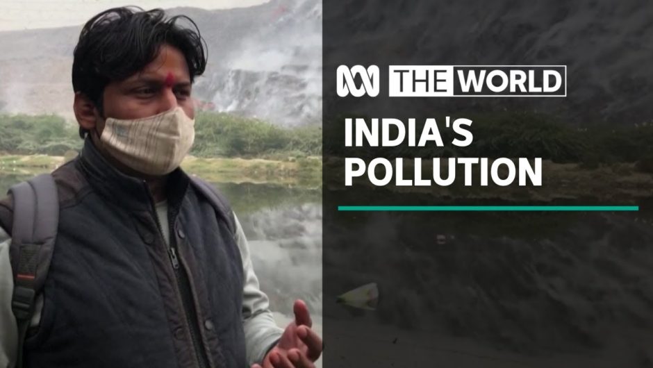 India’s blame game over New Delhi pollution | The World