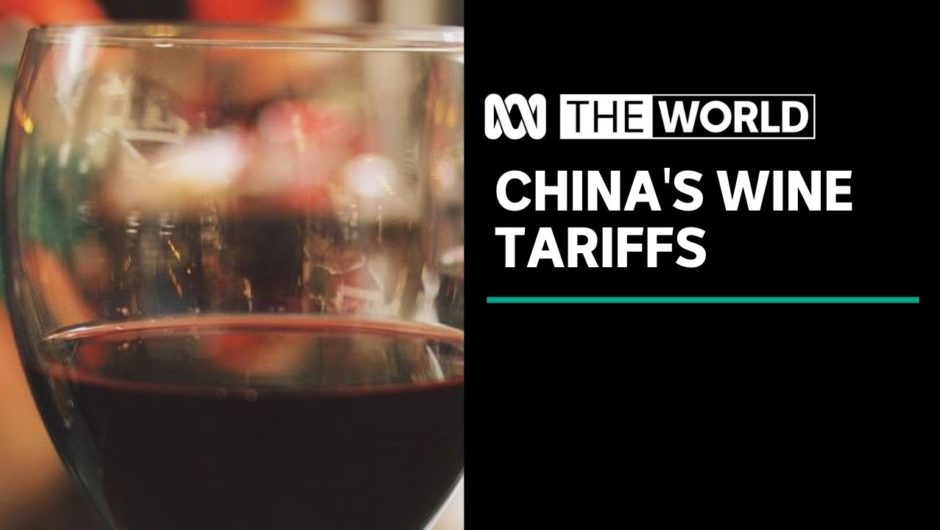 How China's wine tariffs are "standard procedure" | The World