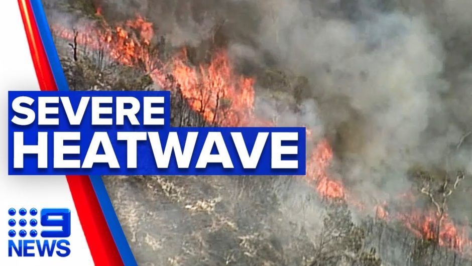 Severe heatwave warning following Fraser Island fire | 9 News Australia