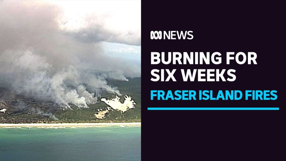 Bushfire continues to burn out of control on Queensland's Fraser Island after six weeks | ABC News