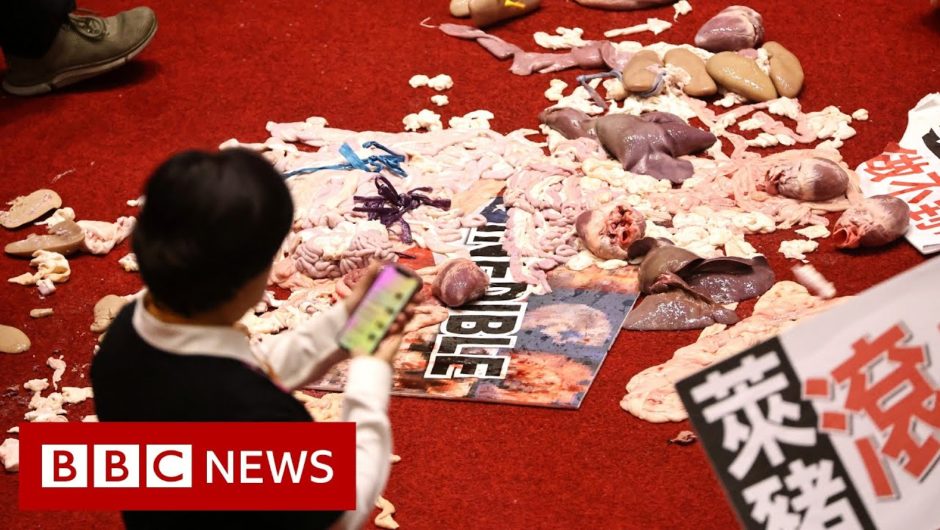 Taiwan lawmakers throw pig guts and punches – BBC News