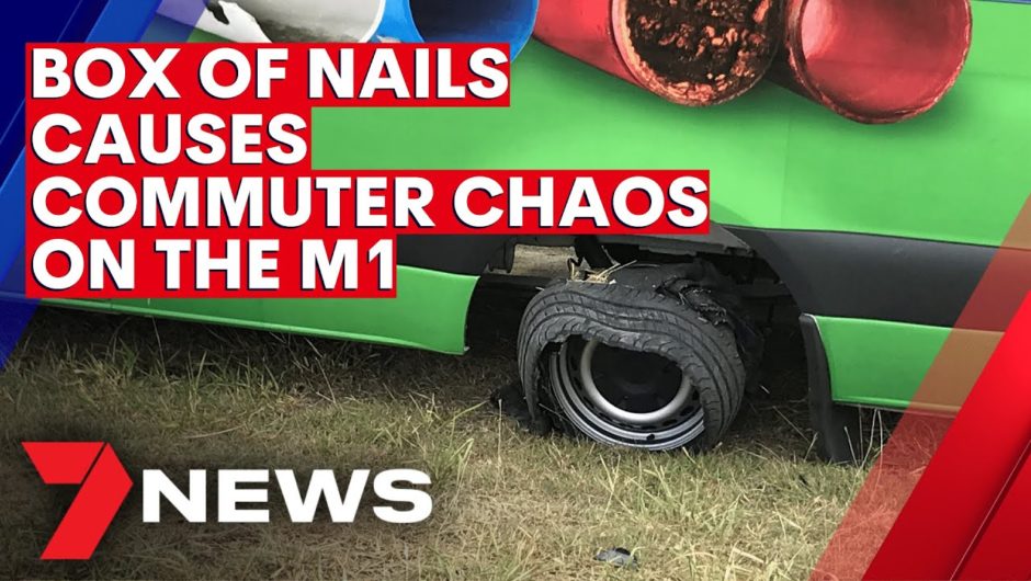 Box of nails causes commuter chaos on the M1 | 7NEWS