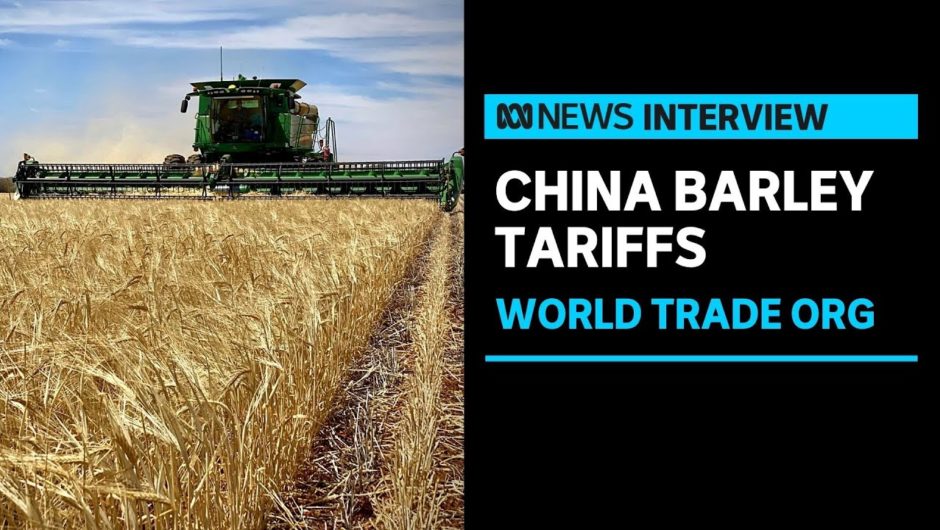 Australia prepares to escalate action against China to WTO over barley tariffs | ABC News